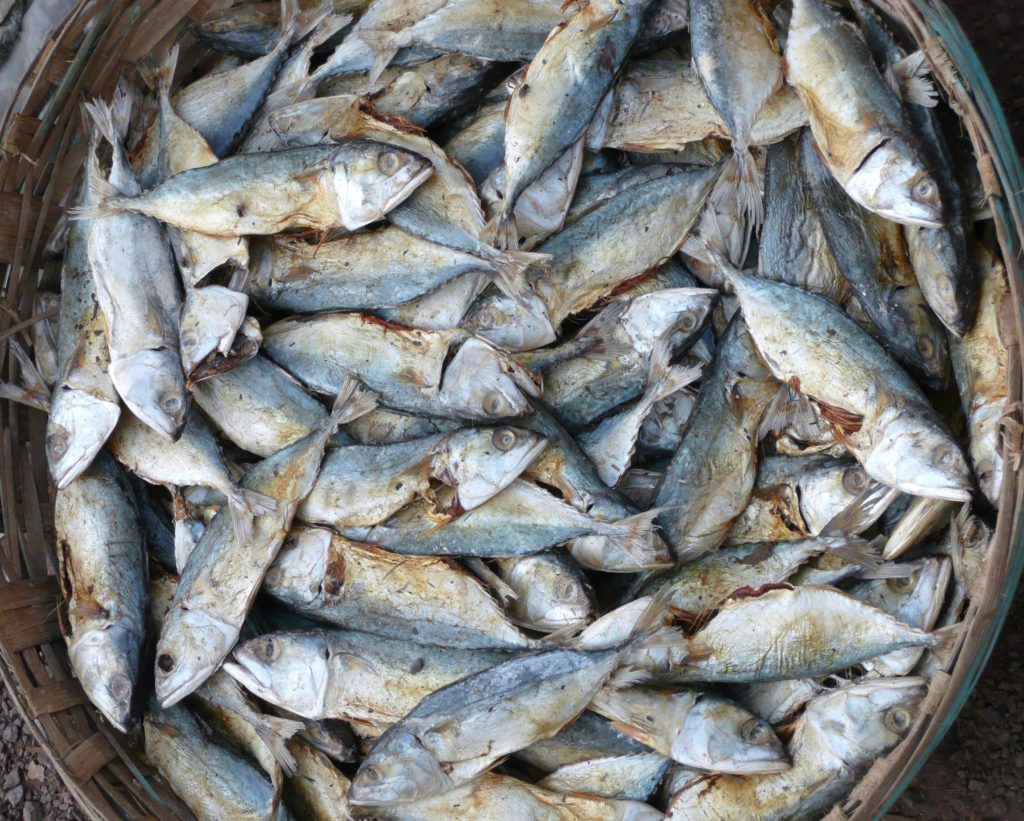 Goan Fish, Goa, India