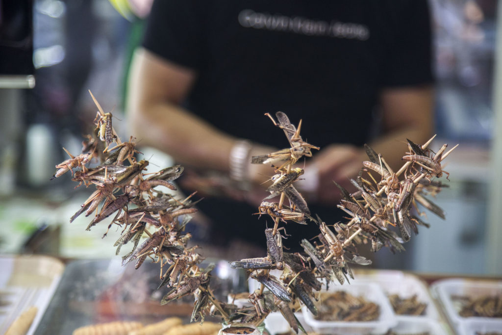 Insects on sale at food market in Qingdao, China