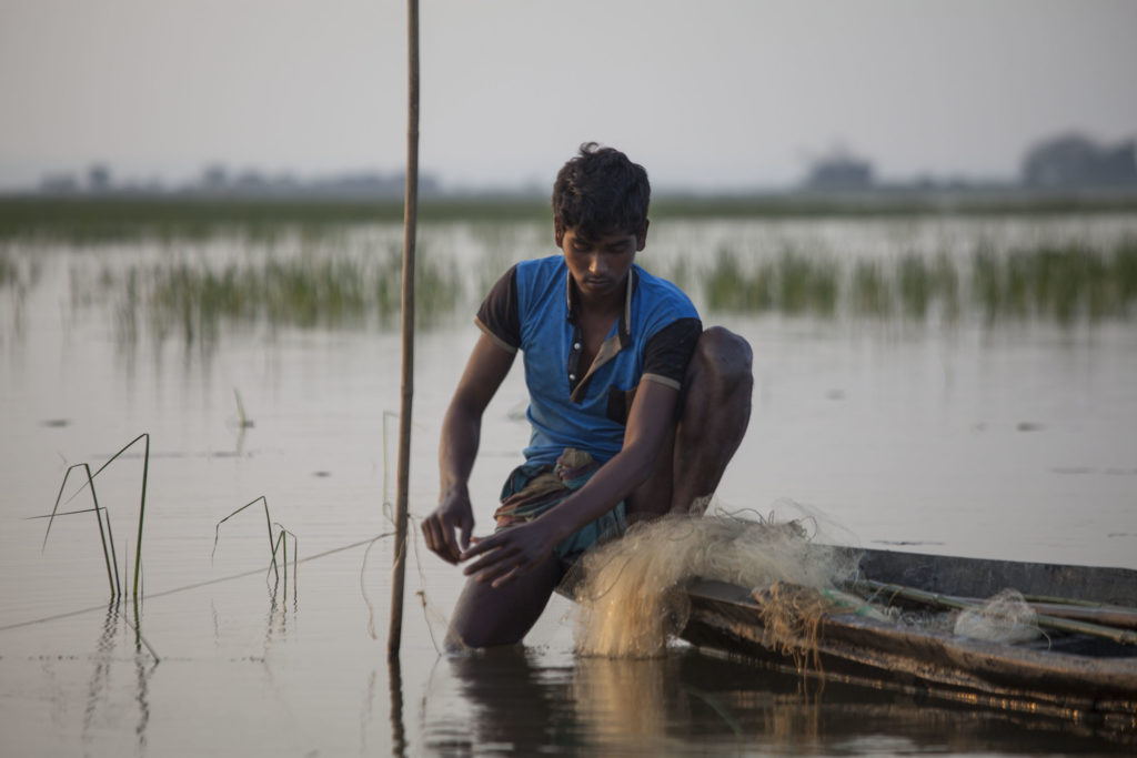 Man fishing at dusk near Srimangal Bangladesh