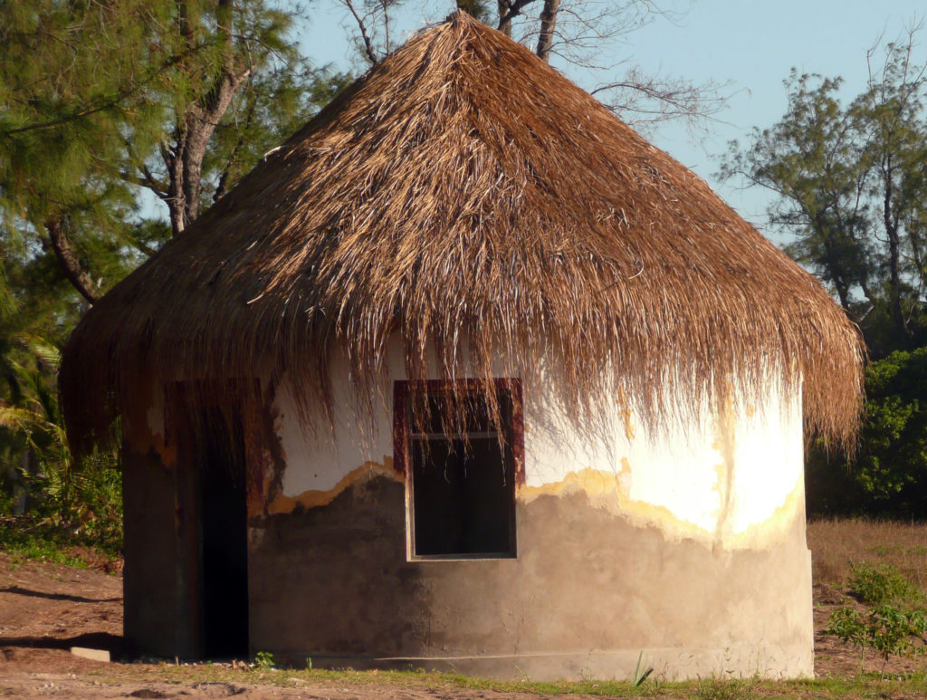 A pahlota near Tofo Beach Mozambique