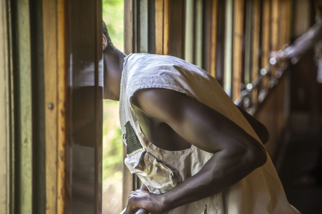 Zimbabwean man leaning out window of Premier Class carriage on Bulawayo to Victoria Falls train Zimbabwe